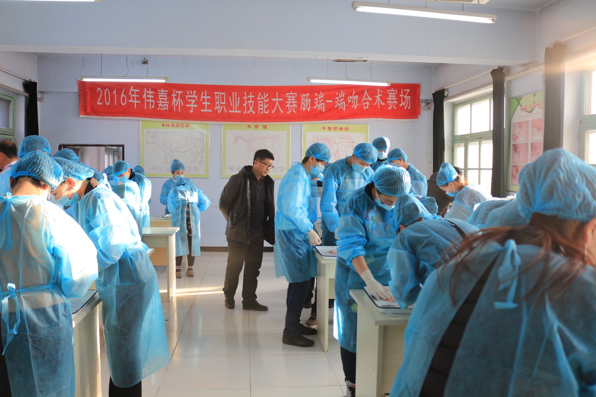 15vip太阳集团官网伟嘉杯学生职业技能大赛“肠端-端吻合术”赛场
